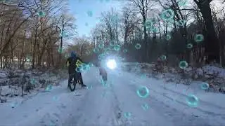 11.01.2026 Iași Club de Biciclete  Prin pădurea înzăpezită