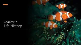 Ecology chapter 7: Life History