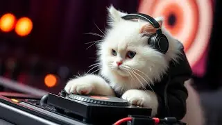 When Your Fluffy White Cat Forgets She&rsquo;s a Cat 😹💄  Too Glam to Meow | meowmeow sad cat