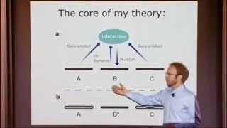 Interaction-based Evolution: How Natural Selection and Non-accidental Mutation Work Together