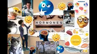 EXPLORATION: Vitamin D vs Hormone D - what do we REALLY know?