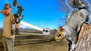 Squirrel Hunting with a Compound Bow that Shoots Ball Bearings 