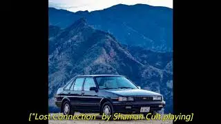 Lost Connection - Shaman Cult (audio)