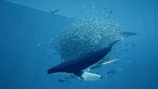 FEEDING THE HUMPBACK WHALES | ABZU