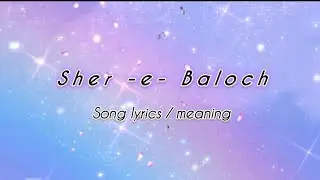 Sher E Baloch Song Lyrics / Meaning !! Dhurnder movie song !! Akshay khanna Entry song