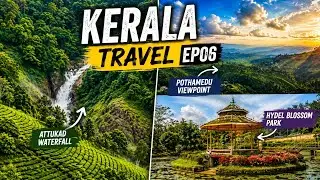 EP06:- Exploring Tea Factory, Attukad Waterfall, Blossom Hydel Park, Pothamedu viewpoint  #kerala