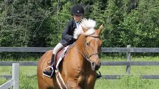 Silver Creek Ranch: JCS Clinic: 06/20/15