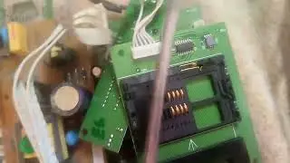 какой вывод по разбору