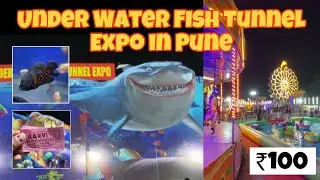 Pune&rsquo;s First Under Water Fish Tunnel Expo 🐬✨|| Fish Tunnel || It&rsquo;s Me Sapna 💜
