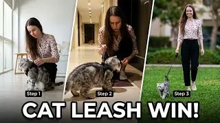 Learn to Walk Your CAT on a Leash with No Trauma, No Fear!