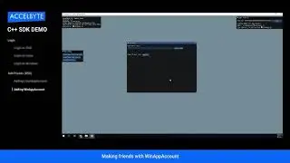 C++ SDK Demo