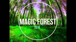 💚MAGIC FOREST 2018💚