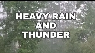 Heavy rain & Thunder in my Backyard | Gina in TEXAS