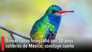 Daniel Garza Tob&oacute;n fotografi&oacute; por 30 a&ntilde;os colibr&iacute;es de M&eacute;xico; concluye sue&ntilde;o y presenta libro