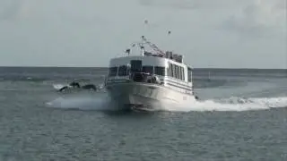 Great diesel exhaust note!