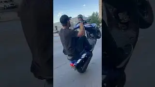 Chicago scooter squad shit #real #scooter #yamaha #cbr #wheelie #streets #honda