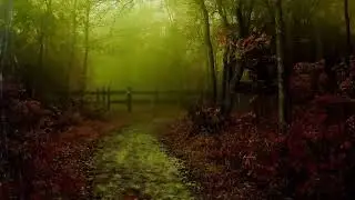 Rain Sound&Sleep with Thunder Relax_RelaxingSounds