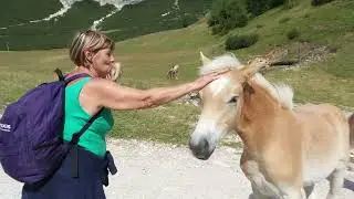 VACANZE DOLOMITI 2021