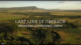 Last Line of Defence - a Kenya Travel safari documentary - a rewilding story in the Maasai Mara.