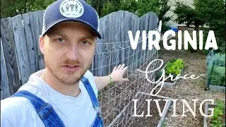 The Best Trellis for Cucumbers and Beans! | No Till Gardening- Organic Vegetables, Rabbits, Chickens