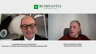 I sorprendenti numeri della mozzarella di bufala campana DOP