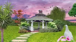 Background II Jardin II Garden II Gazebo II Arrière plan II Animation II Free II No Copyright II