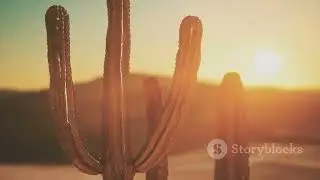 Cheap Arizona Rural Land