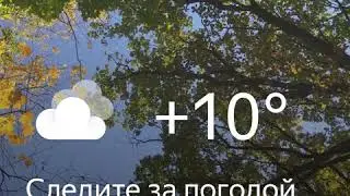 1080x1080 Bro leaf fall cloudy +10 31