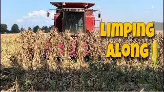 Hurry Up and Wait! 2022 Corn 🌽 Harvest!