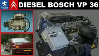 L'injection diesel BOSCH VP 36 PSA Peugeot Citroën