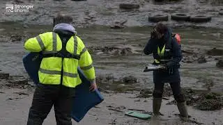 Stronger Shores: Seagrass survey & mud rescue