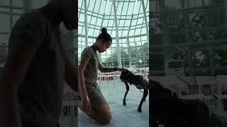 Would You Buy This Digital Pet For Your Kids