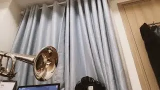 Em Dạo N&agrave;y | Trumpet Cover