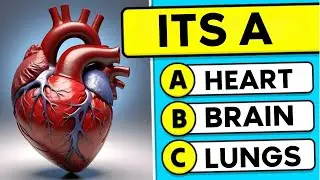 How Many Human Body Parts Can You Guess? 🧠🧬 [QUIZ] Brain Sprint