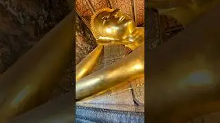 The Huge Reclining Buddha At Wat Pho Bangkok #recliningbuddha #shorts #viral #bangkok #thailand
