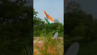 independence day 2025#indelb #independenceday #svtnyhetervast #tiranga #noticias #trending #most