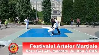 Festivalul Artelor Martiale Doru Galan