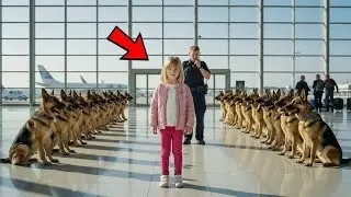 Airport Drama Quatorze Chiens Policiers Ont Encercl&eacute; La Jeune Fille Tout Le Monde &Eacute;tait Sous Le Choc