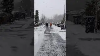Winter stroll