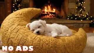 12 ЧАСОВ лучшей успокаивающей музыки для тревожных собак 🐶 Снятие стресса
