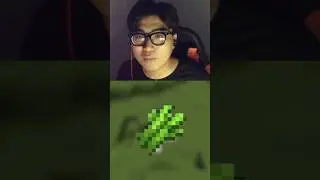 Sự kh&aacute;c biệt giữa m&aacute;y FARM M&Iacute;A trong Minecraft PE v&agrave; Java #minecraft #toanmc #clownsmcteam