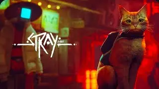 Stray #6