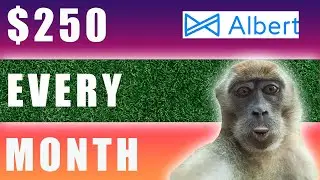 How to improve your finances in 2022 with inflation crisis - Albert App Review