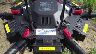 Drone e Trichogramma vs Piralide del mais  - Promo 2020