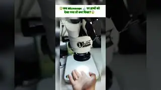 A Fascinating Microscope Experiment on the Human Hand
