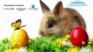 🐣 🐥Partez &agrave; la chasse de votre syst&egrave;me de chauffage adapt&eacute; &agrave; la piscine qui vous ressemble ! 🩱 🩲 🩳 👙