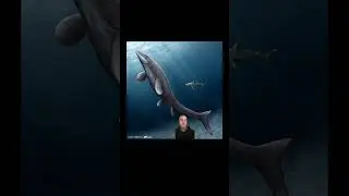 Part 2: Mosasaurids bare the Teeth