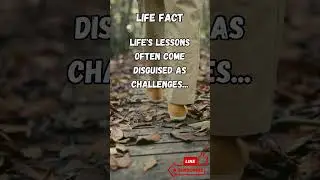 Life Fact - #Shorts #LivingFully #LifeMysteries #LifeUnveiled #LifeFactsExposed