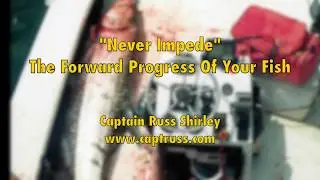 Tarpon Jumps In Boat While Fly Fishing Tampa Bay!