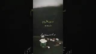 5 Essential Islamic Books Every Scholar Needs